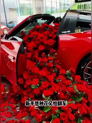 适合新手#阳台花盆 #花卉种子 养花组合款式来了,收到8款不同的花种子,为了发芽率高,给家带上一盒营养棒,