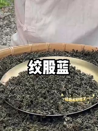 北京同仁堂内廷上用绞股蓝清香淡雅花草茶滋补甄选原材料泡茶55g#抖音美食推荐官 #今天你喝茶了吗 #茶叶 #口感非常好 #绞股蓝