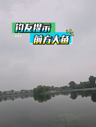蝴蝶富士多节玩小黑鱼 #哈斯达蝴蝶多节 #路亚黑鱼 #什刹海 #哈斯达极光微物airCF #北京钓鱼