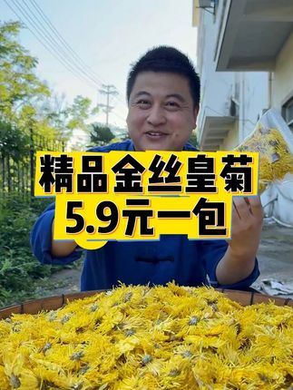 【徽五弟】头茬好品质的金丝皇菊,大朵的,一朵能泡一大杯哦。 #金丝皇菊 #黄菊 #菊花 #菊花茶 #菊花枸杞茶