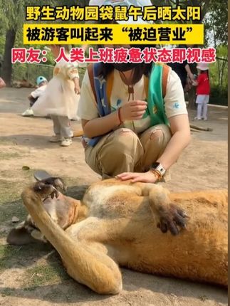 我的本命鸡爪!!#美食#这个真的太好吃了#简直太好吃了#解馋#无辣不欢的吃货2