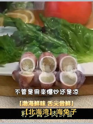 【京东顺丰发货】山东渤海湾小海兔笔管乌贼籽乌2斤3斤4斤