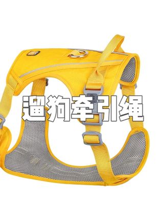 KiTi GO宠物胸背狗绳狗链遛狗绳牵引绳 2025秋季新款大网孔巨透气 #宠物胸背绳 #遛狗绳子 #遛狗牵引绳 #宠物背带牵引绳 #狗狗背带牵引绳
