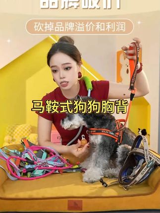 【TRUE系列】394马鞍式狗狗胸背带遛狗神器