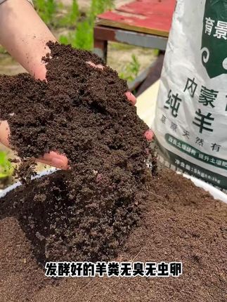 中秋节前后养花种菜就要施肥了,羊粪肥好帮手,肥力大不烧苗,同时还能改良疏松土壤#羊粪有机肥#羊粪#内蒙古羊粪有机肥#果蔬专用#厂家发货实拍
