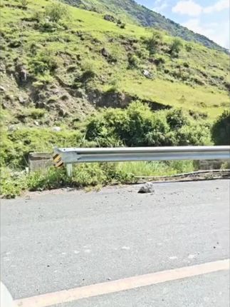 宝宝理发神器二合一剪刘海修剪器修发梳小巧直柄手动便携儿童梳子 #刘海修剪器  #在家理发  #宝宝理发不哭  #儿童理发  #儿童梳子