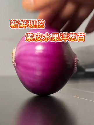 洋葱苗 现在基地大量有苗想要的家人们赶紧来#洋葱苗