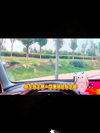 车内除异味新车除甲醛除异味活性炭汽车车用竹炭包车内香包除味剂  #大家都在买的好物  #家庭生活必备  #购物技巧