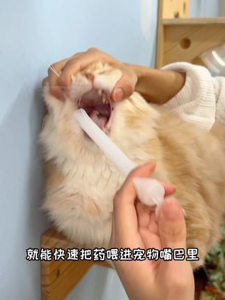 猫咪死活不让喂药怎么办?快用这个喂药器,轻松解决 #喂药器 #萌宠出道计划 #猫咪日常
