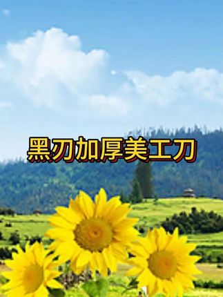 好品质的美工刀,真的好用,价格便宜#美工刀 #便宜好物#必备好物 #五金工具 #在抖音入手的好东西 #无限回购的宝藏单品