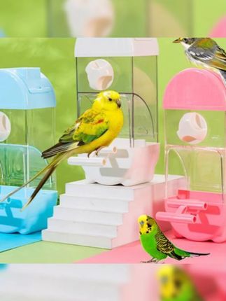 郝邵文推荐 鹦鹉鸟鹦鹉食盒防撒自动下料器防溅外挂喂鸟喂食器虎皮鸟用品#鹦鹉鸟食盒 #鹦鹉自动食盒 #鹦鹉防溅食盒 #鹦鹉喂食器 #鹦鹉用品