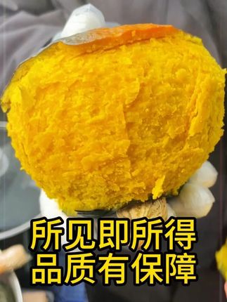 金黄的果肉,浓郁的板栗味,想吃粉面香甜贝贝南瓜的姐姐一定要来我们原产地看看,所见即所得的品质~# 贝贝南瓜