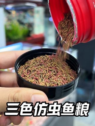 三色仿虫鱼食,营养价值高,促发色,鱼儿健康又漂亮#观赏鱼 #鱼粮 #水族 #养鱼日记
