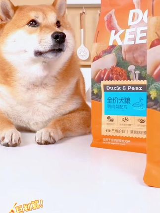 比乐KDpro守护者营养无谷鲜肉低敏好吸收护肠狗粮成犬幼犬犬粮 #A股 #财经科普 #美国降息 #祖国强大 #牛市