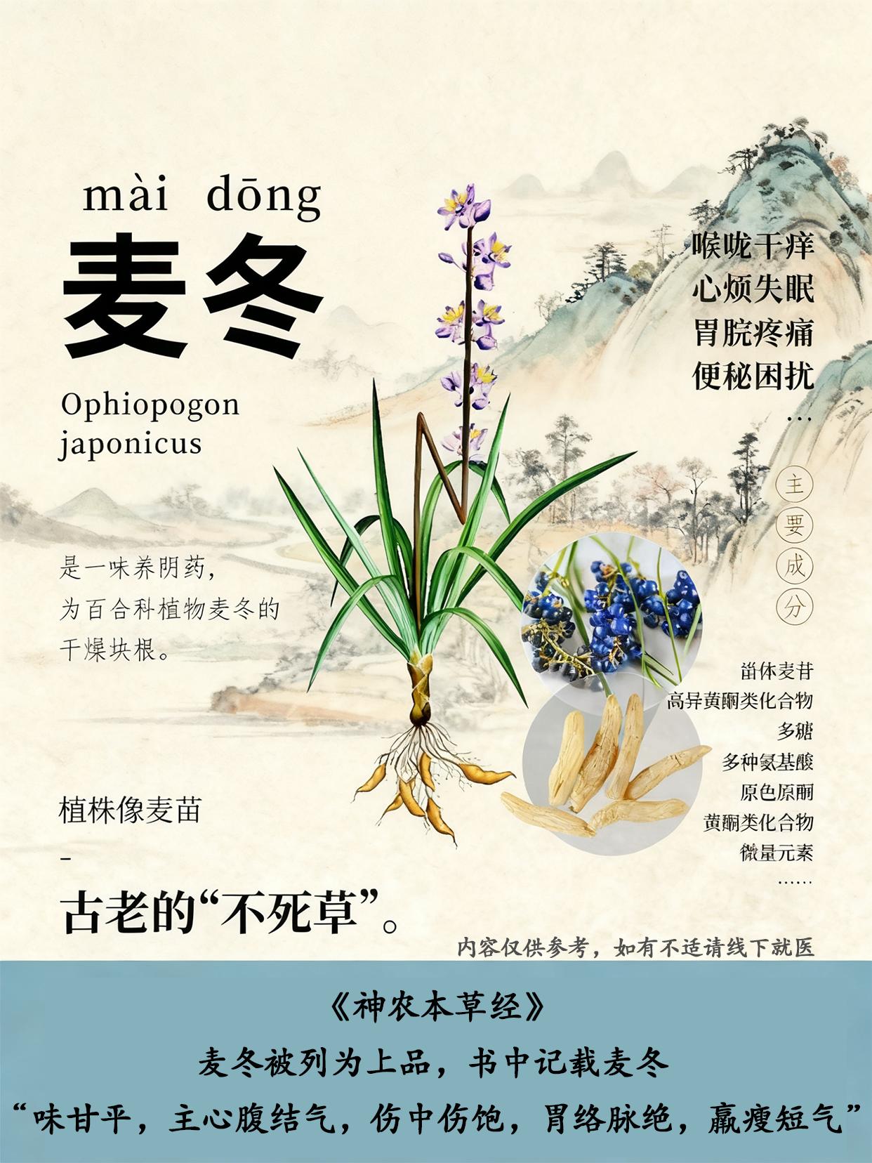 来认识一下麦冬。#每天学习一点点 #麦冬 #山货