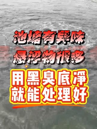 池塘有异味、悬浮物很多,这是硫化氢在作怪#水产养殖#水产养殖技术#鱼虾蟹养殖#四大家鱼养殖#水产人