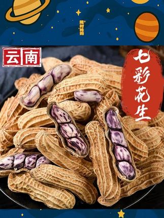 超大颗粒的云南七彩咸干花生吃的是真的爽!又香又脆,奶香裹着坚果香#七彩花生 #又香又脆 #好吃到停不下来 #优质农产品 #坚果零食推荐