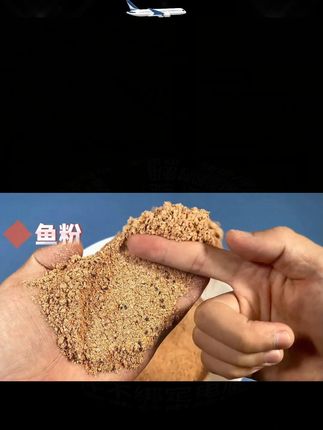 【爆款新品】刘志强能量饵一包搞定高蛋白赤尾青四季通用鲫鱼饵料 #爆护饵料 #冬钓鲫鱼 #刘志强钓鱼 #鱼饵推荐 #钓鱼饵料 #【爆款新品】