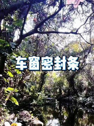 丰田全系专用车窗隔音密封条防尘防水耐高温隔音降噪静音条 #丰田 #车窗防水 #车窗密封条 #静音条 #防尘降噪