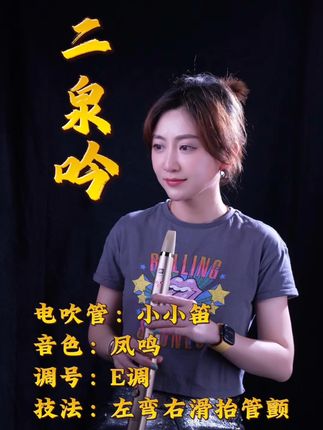 🎵《二泉吟》新打开方式! 小小笛凤鸣音色,把经典吹出新韵味,太惊艳~ #小小笛 #小小笛电吹管 #电吹管 #二泉吟 #锣钹小小笛