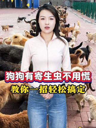 狗子有体外虫子不用慌,用这个方法就好 #养狗人 #养狗经验 #养狗日常