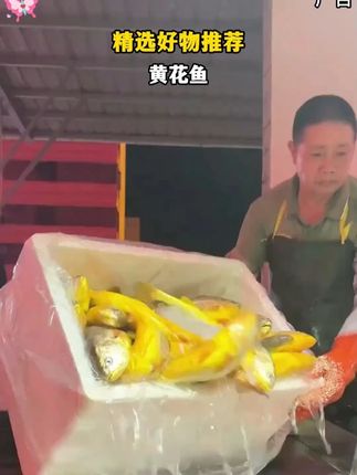 实打实现捕现发,4 斤!整整 4 斤!到手才 58.8 块!算下来一斤才 14 块多,超市冻货都比这贵!#海鲜原产地 #最新鲜的鱼 #快来一起尝个鲜 #水产人 #海鲜水产