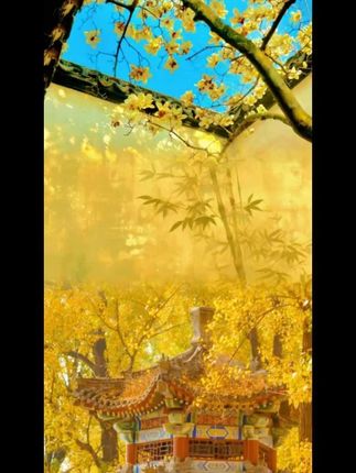 小麓班塑料椅子家用加厚客厅扶手餐椅麻将桌椅夜市啤酒成人靠背椅