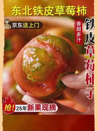 正宗铁皮草莓柿子新鲜当季西红柿生吃水果东北番茄酸甜口京东包邮 #铁皮草莓柿子 #铁皮西红柿 #很好吃 #无限回购的宝藏单品 #脆甜多汁