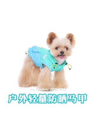 防晒衣你也是好起来了 能给我小斗狗降暑 #狗狗防晒衣薄款 #狗狗衣服 #狗狗凉凉衣 #萌宠好物