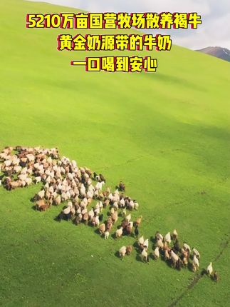 配料表只有生牛乳的奶让家人喝才更安心,拍一到手10大瓶,不到百元的价格,赶快来直播间看看吧