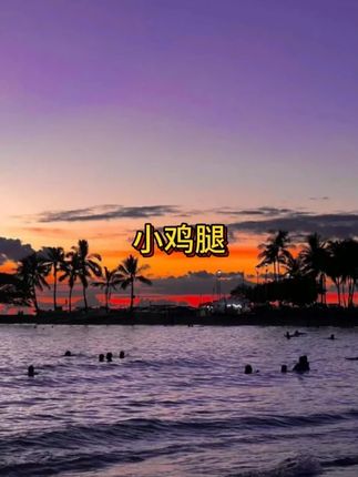 三只松鼠的#鸡翅根 终于大大大破价了!数量不多,快薅!#鸡小腿  #三只松鼠  #超便宜超划算  #哇又便宜又好吃