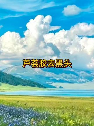 这款很火的泰国去黑头凝露真的能连根拔起吗?#泰国去黑头鼻贴 #去黑头 #抖音美好丰收节 #男士神仙单品 #在抖音入手的好东西 #无限回购的宝藏单品