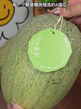 #新疆哈密瓜 #新鲜采摘 #哈密瓜