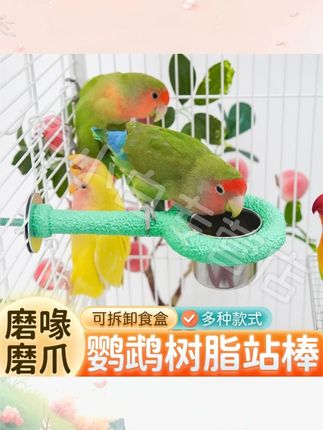 【加大垫片 磨喙磨爪】鹦鹉树脂站杆磨爪站棒牡丹玄风防滑站架KJ#鹦鹉站杆 #磨爪站架 #防滑站杆 #鹦鹉用品 #树脂站杆