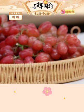 (顺丰)四川大凉山无籽红提克伦生葡萄新鲜现摘脆甜多汁应季水果 #四川无籽红提 #新鲜水果 #汁水丰富 #脆甜爽口 #好物甄选 @DOU+上热门 @DOU+小助手