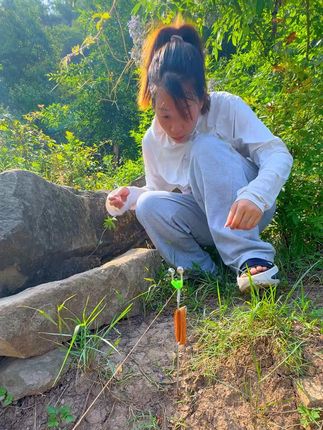 等这个铃铛钓组响了就上鱼了 #野钓 #钓鱼人 #爱生活爱钓鱼