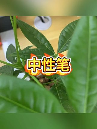 刷题笔 #考试 #大容量 #低重心 #学生文具 #刷题笔