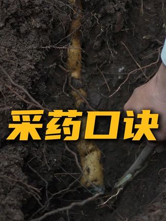 老祖宗的采药口诀,学会了少走很多弯路 #采药口诀 #植物科普