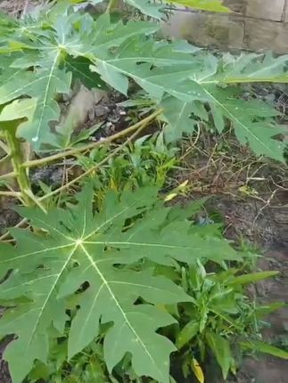 #赵本山 #人物故事 #传统文化 #古籍古术 #好书推荐
