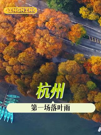 杭州!有这么浪漫的落叶雨 你怎么还跟我藏着掖着! #杭州秋天第一场落叶雨