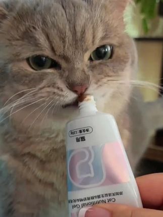俏贝丽益生菌化毛膏猫咪专用猫吐毛球鱼油维生素排毛化毛营养膏狗 #化毛膏 #益生菌 #猫咪