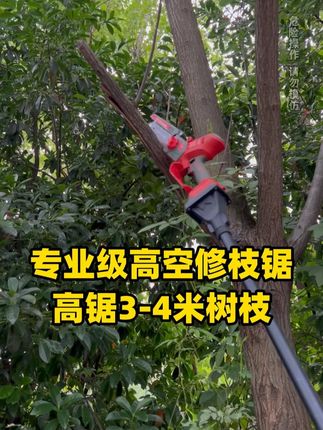 有了这把高空锯,以后拒绝爬树,20公分以内树枝轻松拿下,锂电可伸缩高枝锯,轻松搞定5米以内高枝枝#电动高枝锯 #高枝锯 #电锯 #电动锯子 #苗木绿化