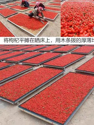 高海拔柴达木红枸杞头茬果自然晾晒无硫无亚钠泡水煲汤泡酒#红枸杞 #枸杞 #柴达木枸杞 #优质农产品 #无限回购的宝藏单品