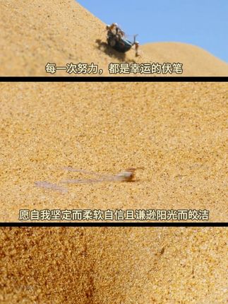 你家也有这种刷不出来的黑锅吗?如果不是自己洗出来,我也不会相信锅底黑这么好洗!#锅底除黑海藻泥
