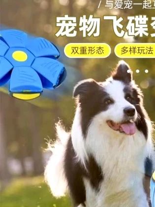 就这个玩具球给我家狗子买了,我比狗子更爱玩,一玩就是一整天 #就这个玩具球给我家狗子买 #就这个玩具球