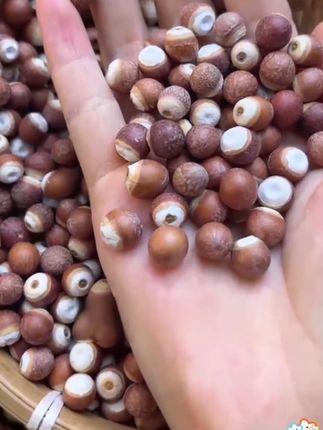 广东芡实新鲜整粒鸡头米农家自产芡实米可配薏米 广东芡实新鲜整粒鸡头米农家自产芡实米可配薏米#优质农产品 #大自然的馈赠 #纯天然绿色食品 #芡实干货 #美味推荐