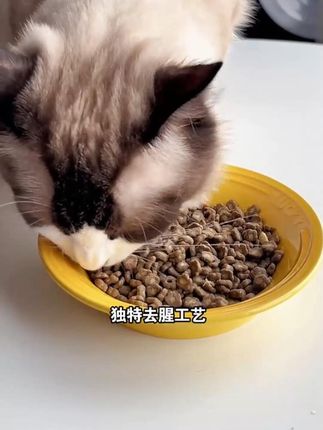 【新品专属】布兰德鱼油鲜鲜美毛酥化粮全价夹芯冻干鲜肉猫粮成幼 #猫粮 #猫粮推荐 #布兰德