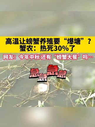 一夏冰爽水产养殖专用、补营养降温抗应激。鱼虾蟹通用 #一夏冰爽 #渔可盛 #水产养殖