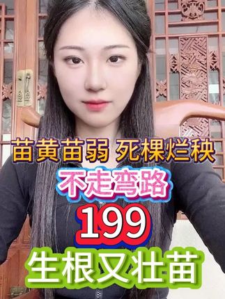 苗黄苗弱 死棵烂秧 不走弯路 199生根又壮苗 #三农种植 #携手助农 #种植技术 #三农