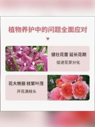 JUNDE/君德枯草芽孢杆菌菌剂疏松土壤促花植物兰花桂花绿植花卉